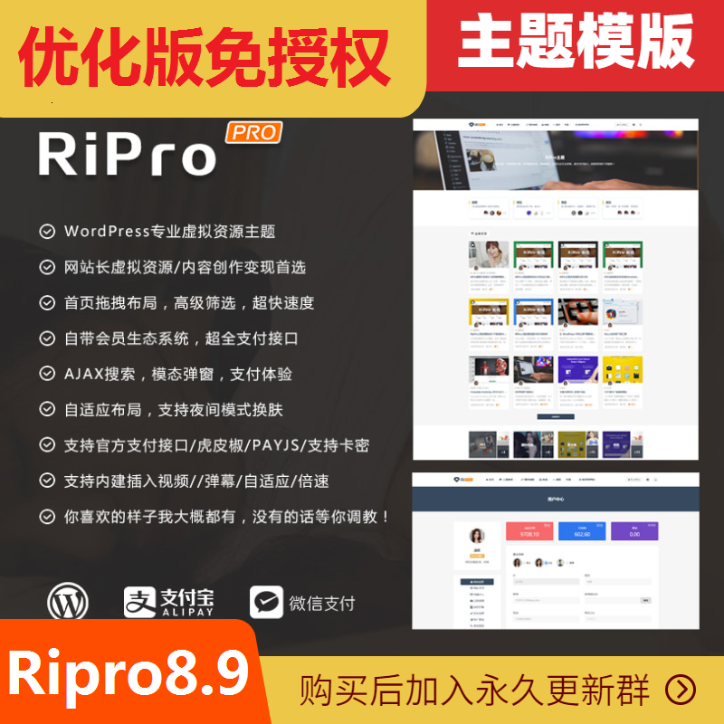 RIPRO8.9主题源码修复版无加密···